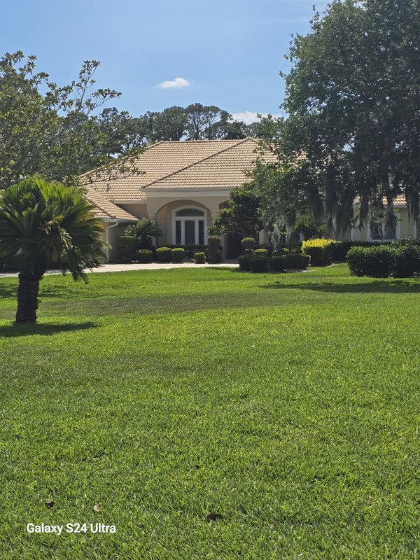 Front lawn and palm-lined approach to a home with a restored driveway
