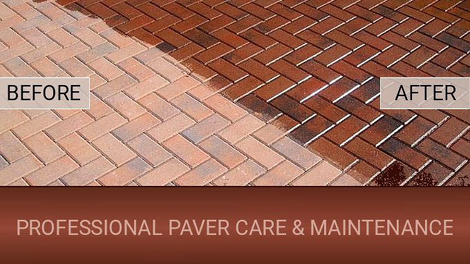 Paver Cleaning, Sealing, and Restoration Services